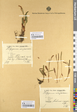 LE 01105170
