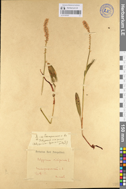 LE 01105187