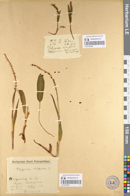 LE 01105194
