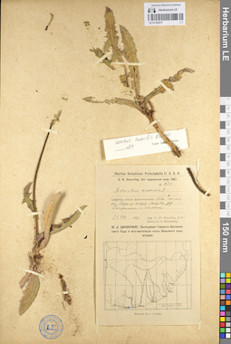LE 01105377