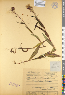 LE 01105394