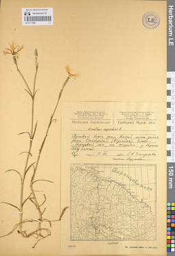LE 01111060