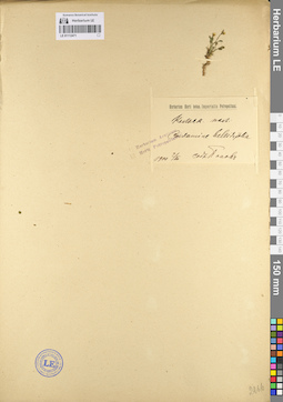LE 01112471
