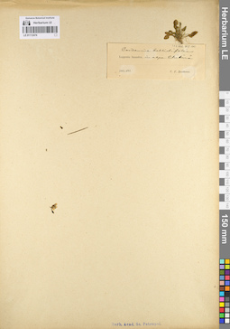 LE 01112474