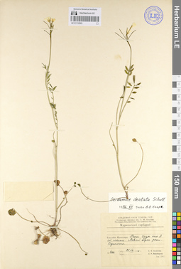 LE 01112503
