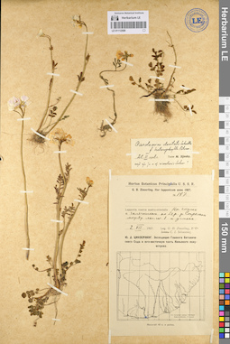 LE 01112509