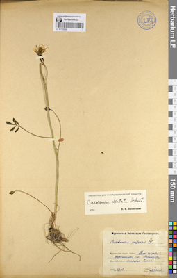 LE 01112524