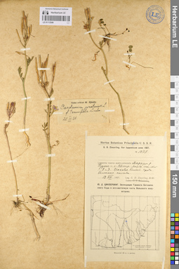 LE 01112549