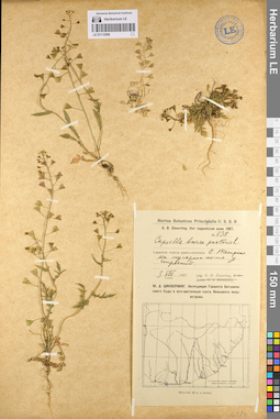 LE 01112569