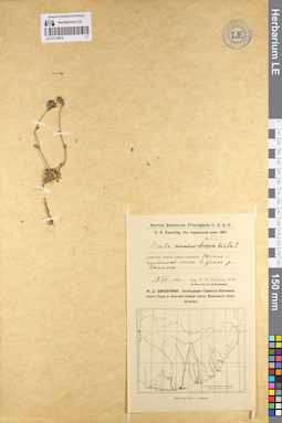 LE 01112614
