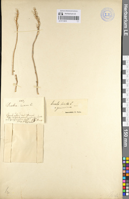 LE 01112615