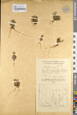 LE 01112630