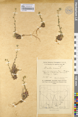 LE 01112634