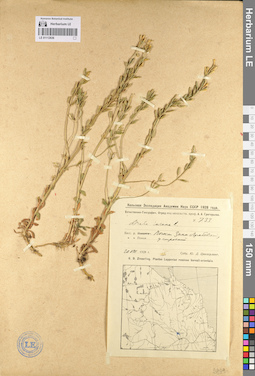 LE 01112636