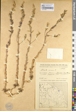 LE 01112637
