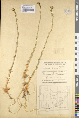 LE 01112690