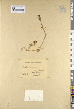 LE 01112691