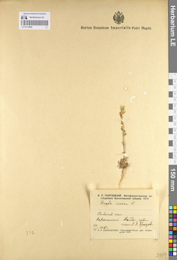LE 01112699