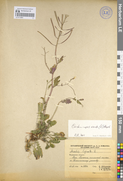 LE 01112803