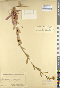 LE 01112818