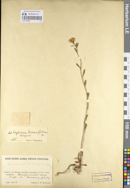 LE 01112819