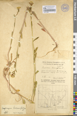 LE 01112825