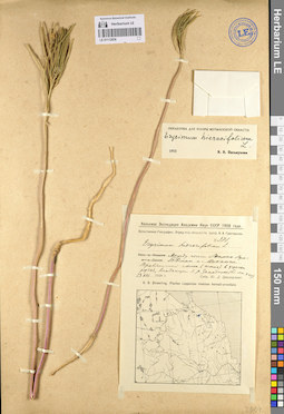 LE 01112836