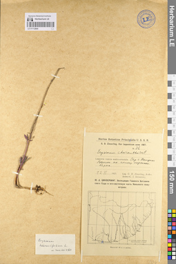 LE 01112844