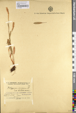 LE 01105248
