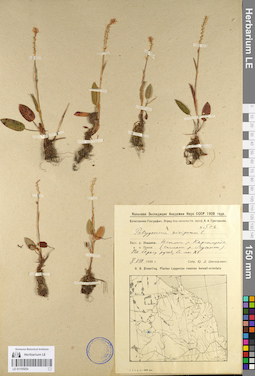 LE 01105254