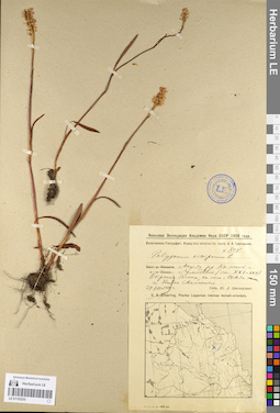 LE 01105255