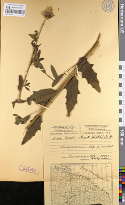 LE 01105278