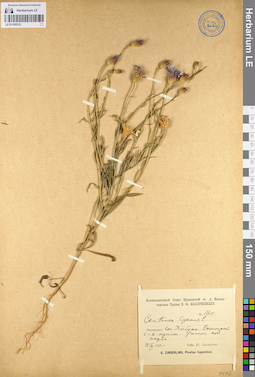 LE 01105315