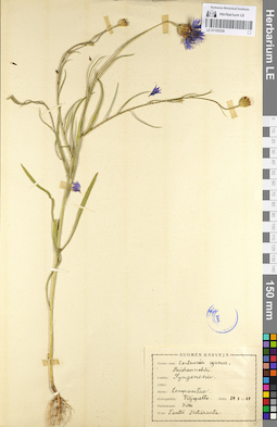 LE 01105326