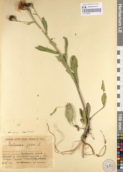 LE 01105336