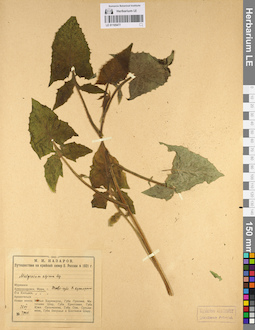 LE 01105477