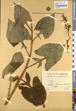 LE 01105498