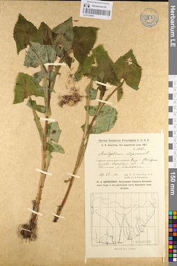 LE 01105509
