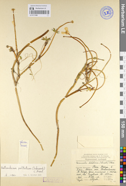 LE 01111496