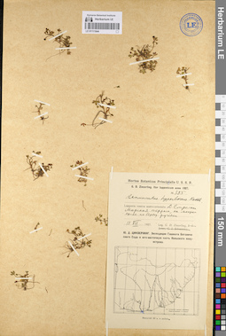 LE 01111644