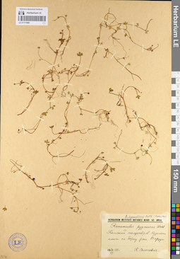 LE 01111660