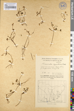 LE 01111673