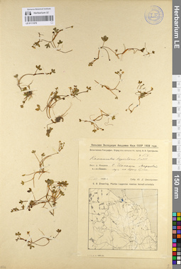 LE 01111678