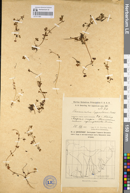 LE 01111681