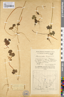 LE 01111728