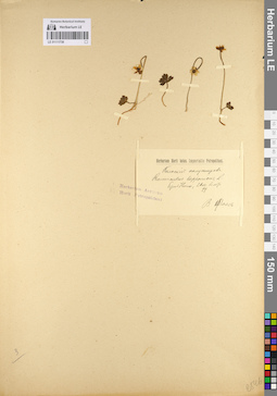 LE 01111738