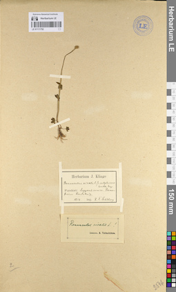 LE 01111752