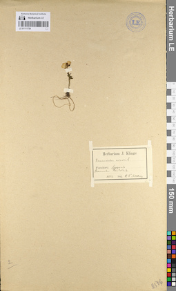 LE 01111754