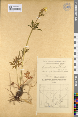 LE 01111783