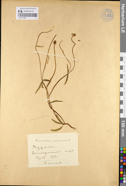 LE 01111805